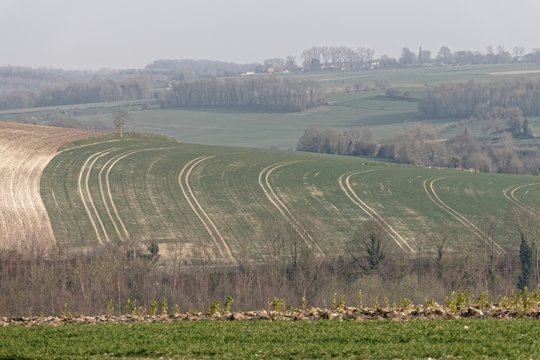 Culture en parall&eacute;lisme dans le Ternois - Pas-de-Calais - France