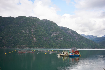 Fototapeta na wymiar Farm salmon fishing in Norway