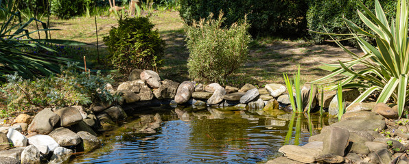 Beautiful yucca Gloriosa Variegata on the shores of  garden pond. Striped sharp leaves adorn landscaped garden. Sunny day in early spring. Nature concept for design. There is place for text.