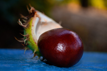 chestnuts on a wooden table
