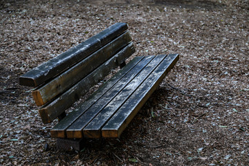 Fototapeta premium old bench in the park