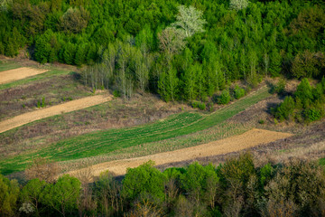 Beautiful spring landscape in Republic of Moldova. Green landscape. Spring Nature. Park with Green Grass and Trees. Travel in Europe. Field with blooming tree and rocks.