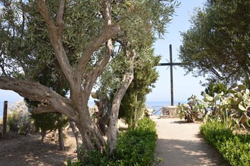 Fototapeta premium Croce di legno - Tropea, Calabria, Italia - 15 giugno 2015. Croce di legno molto suggestiva he si trova nell'Orto botanico, adiacente al Santuario della Madonna dell'Isola a Tropea. 