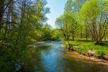 Fototapeta na wymiar Auenlandschaft der Salzach in der nähe von Laufen, Bayern, im Frühling