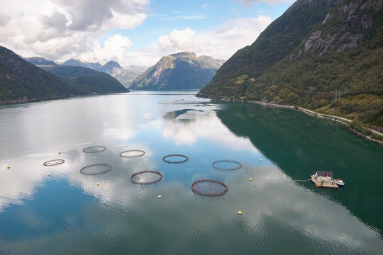 Farm salmon fishing in Norway aerial photography