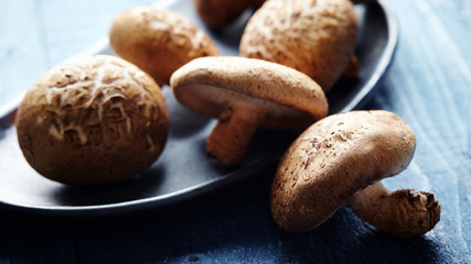 Shiitake mushroom