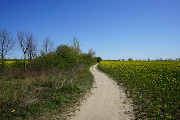 Leerer Wanderweg während der Corona-Krise