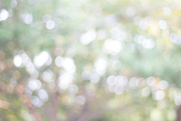 Obraz premium background