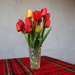Spring flowers - Dutch tulips in red and yellow