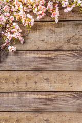 Fototapeta premium Spring flowering branch on wooden background. Apple or cherry blossoms on old rustic wood backdrop copy space