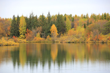 autumn landscape with lake