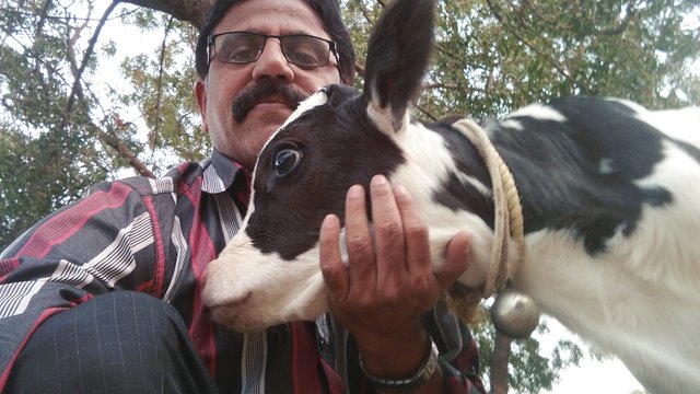 Low Angle View Of Mature Man Crouching With Calf Against Tree