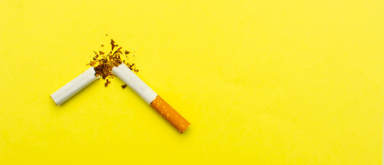 Fototapeta na wymiar World No Tobacco Day. Broken cigarette isolated on yellow background. Banner.