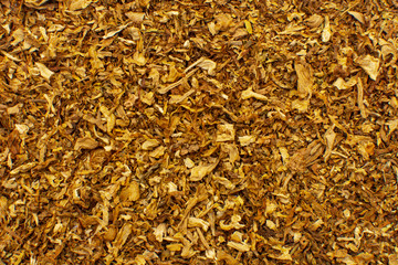Tobacco texture. High quality dry cut tobacco big leaf close up background.