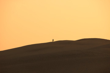Obraz premium sunset in the desert