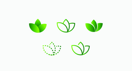 green leaves vector