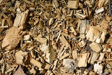 pile of firewood