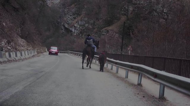 A horse, a pony and a camel run along the highway past cars
