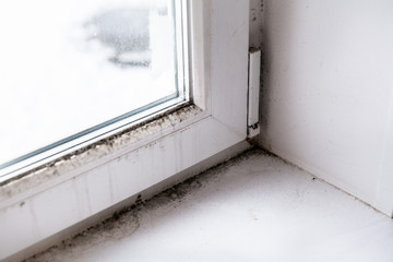 mold in the corner of the window.