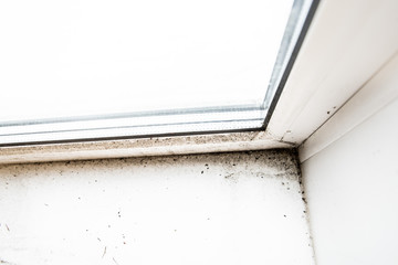 mold in the corner of the window.