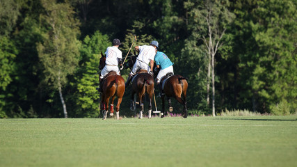 Three horse Polo players with a mallet in game action
