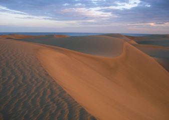 Beautiful view of the dunes in Maspalomas beach during the sunset. South of Gran Canaria Island. Spain.