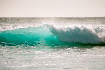 Big Wave in Hawaii