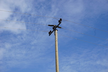 Telekommunikationsmast, Holzmast mit Stromleitung, isolierter Mast vor blauen Himmel