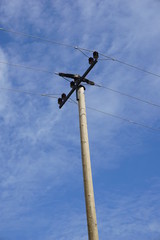 Telekommunikationsmast, Holzmast mit Stromleitung, isolierter Mast vor blauen Himmel