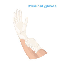 Hand in sterile white gloves vector illustration.