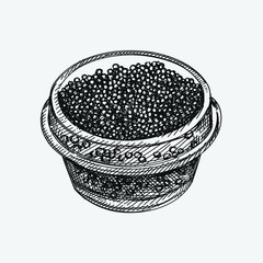 Hand-drawn sketch of caviar in a small glass jar on a white background. Black caviar. Sea food. Caviar for a snack. Caviar canapé 