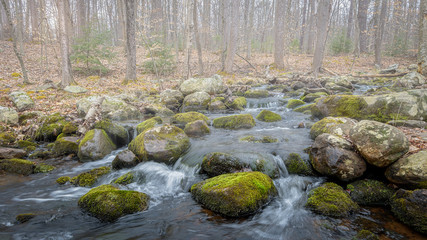 Brook with stones on a foggy morning in early spring at Stokes State Forest, New Jersey