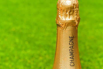 Gold foil covered neck of an unopened bottle champagne against a plain green background. Space for...