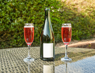 Two flute glasses of pink champagne and an opened champagne bottle with a blank label on a glass table top in a garden. Space for copy.