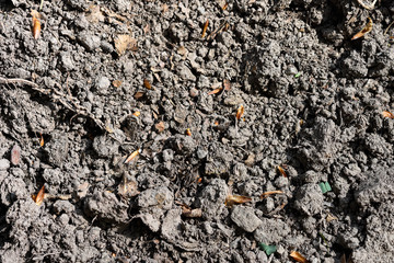 texture of soil