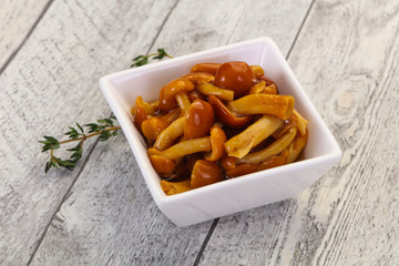 Pickled honey agaric