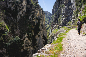 nice mountain road with cliffs, feeling of freedom and stunning views