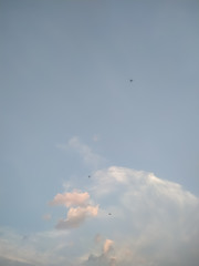 Natural cloud fly blue sky landscape and sun rising at skyline.