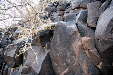 cave paintings in Abourma