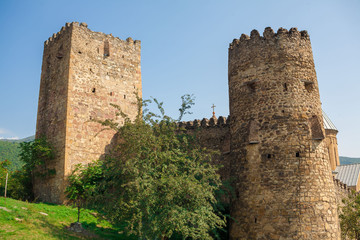 Fototapeta na wymiar Georgia. Fortress Ananuri