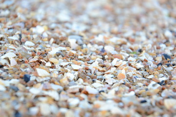 macro photo of sand on a sea beach