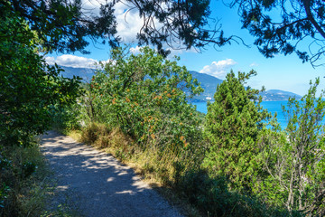 Fototapeta na wymiar The Sunny path along the Black Sea coast near Yalta in Crimea