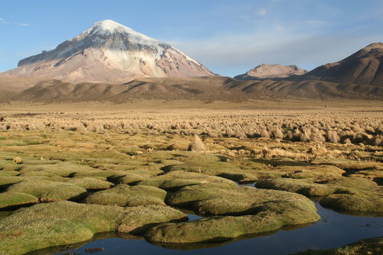 Parc Lauca au Chili