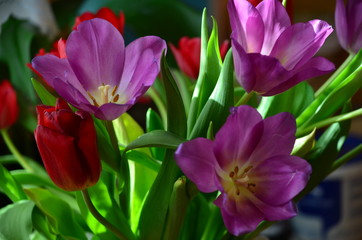 Abstract background of flowers. Close-up.