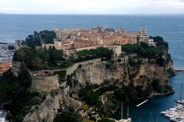 Fototapeta na wymiar Aerial view of Monaco and its rock from the heights of the exotic garden