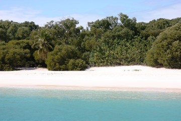 Travelling the world