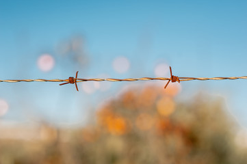 oxidized barbed wire with orange and blue blurred background