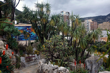 Fototapeta na wymiar Aerial view of Monaco from the heights of the exotic garden with cactuses in the foreground