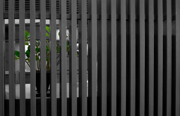 Obraz premium a small green plant hidden behind a wooden fence