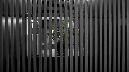 green plant hidden behind a wooden fence
